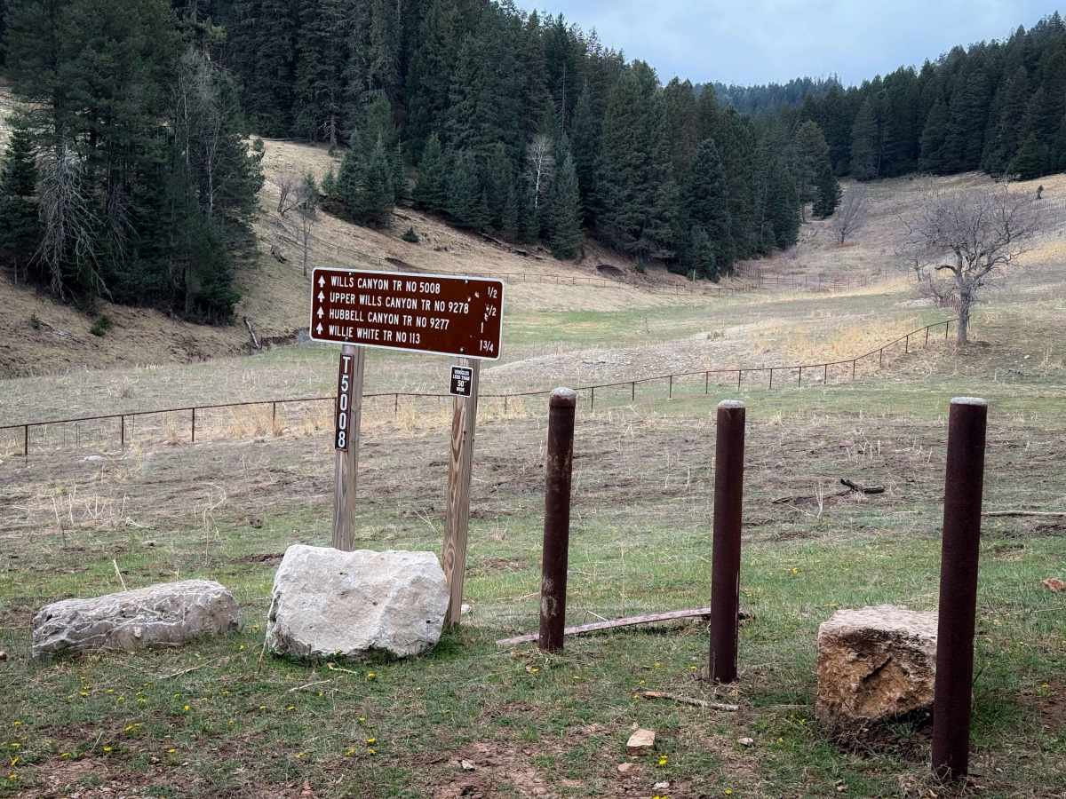 Upper Wills Canyon - FS 9278  photo 6