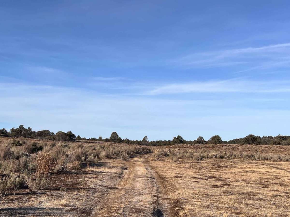 Corral Creek Road photo 6