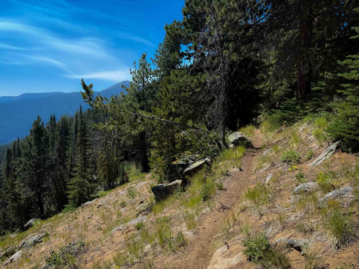 Bryan Butte - 418   photo 2