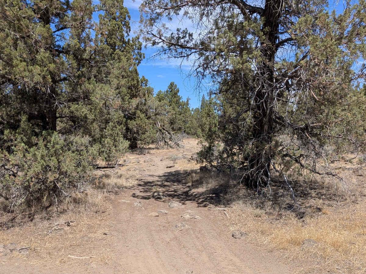 Cline Buttes OHV Trail 27 North photo 3