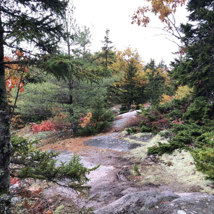 Quarry Trail Near Dave Roberts Quarry Trail