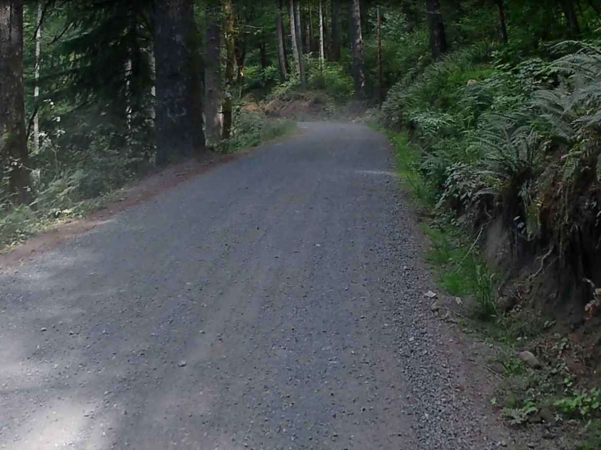 Skamania Mines  photo 2