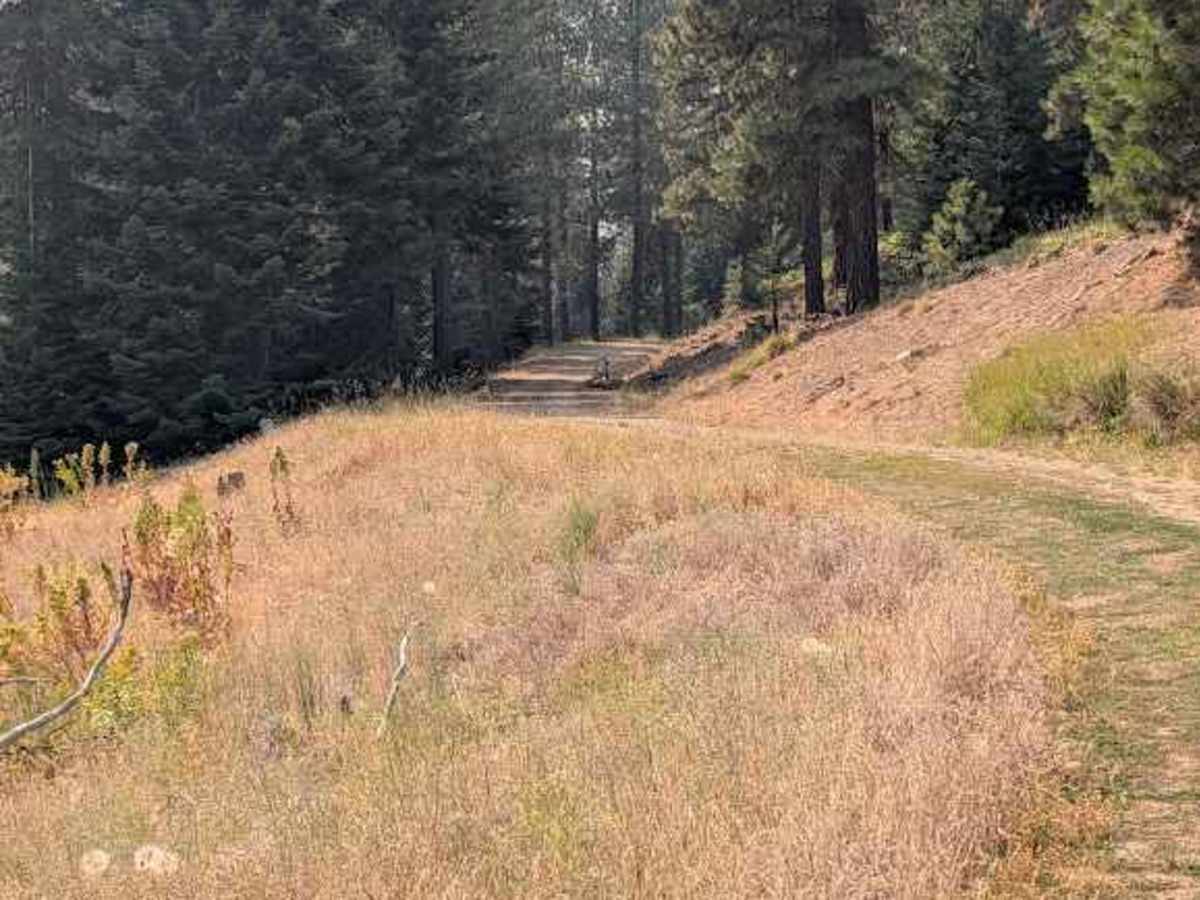 Pearson Creek Road photo 5