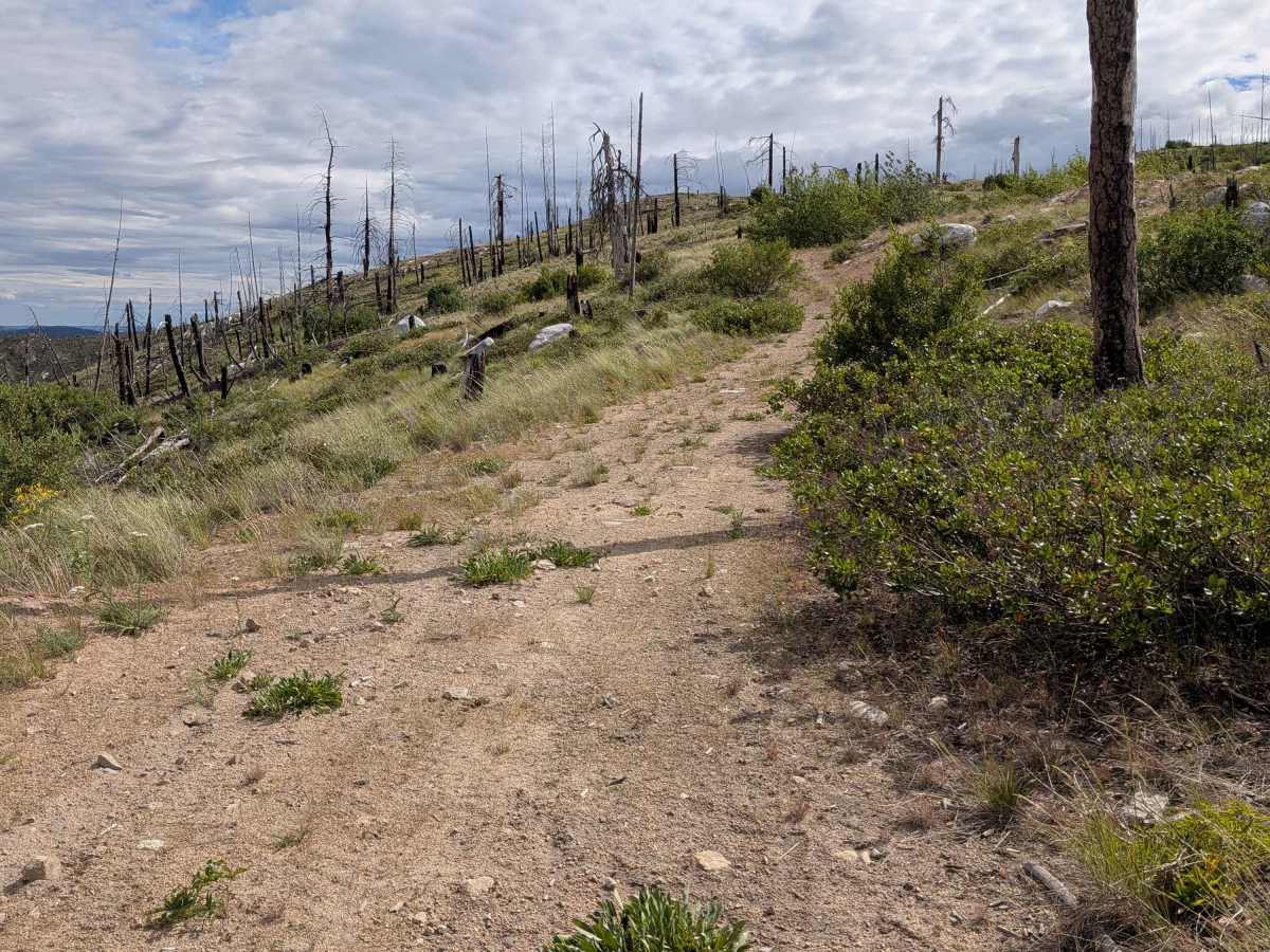 FS 4100-250 trail photo