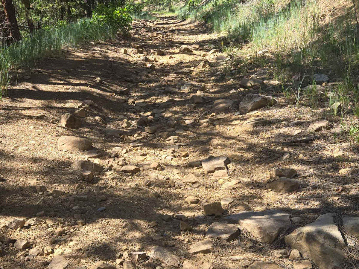 Snow Ranch ATV Trail 704 photo 5