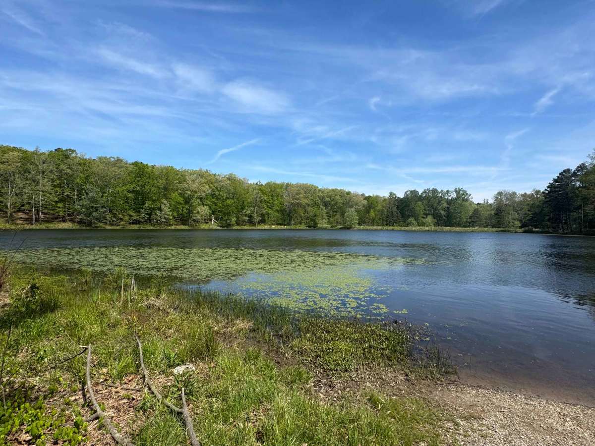 One Horse Gap Lake Trail photo 5