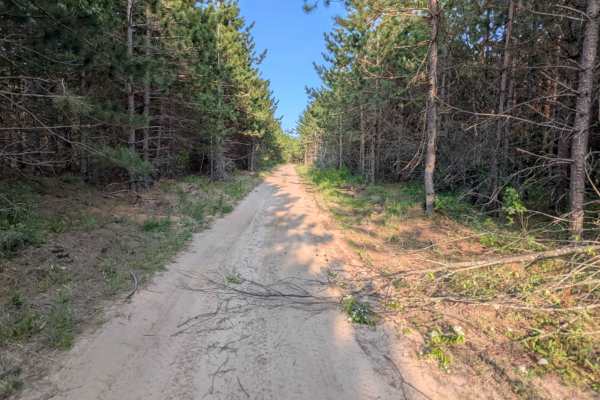 Norton Camp Truck Trail