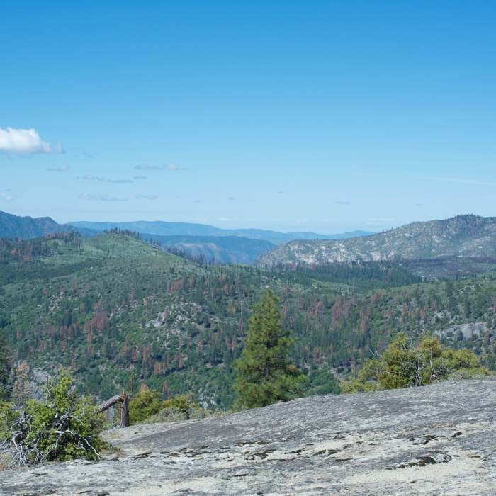 Near Turtleback Dome