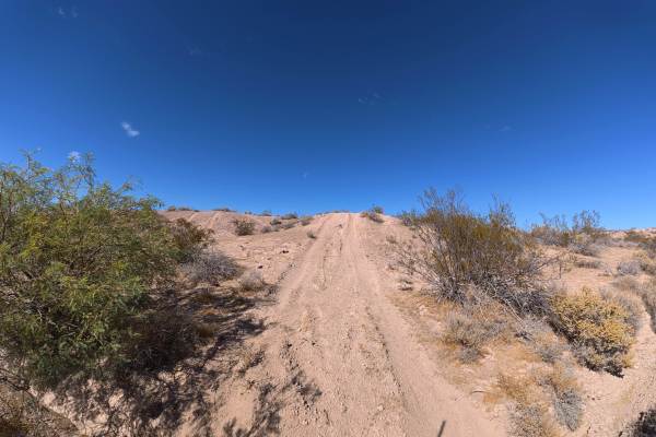 Sand Valley Plant Road
