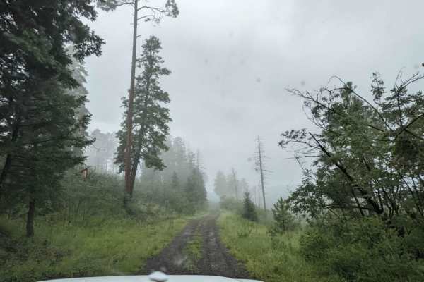Middle Mountain Road