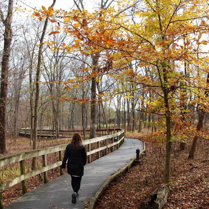 Near Mammoth Cave Visitor Center Loop