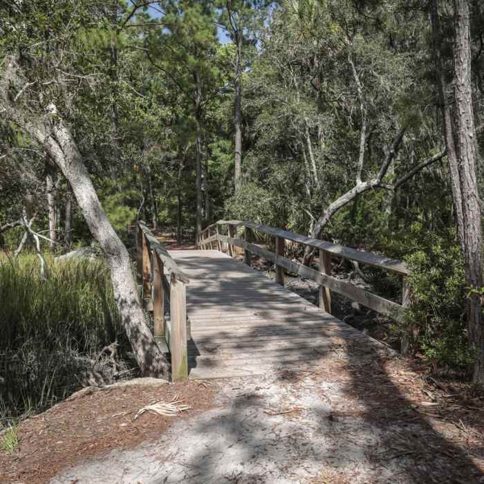 Near Pine Trail Loop / Tabby Ruins Site