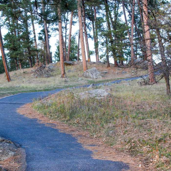 Near Tower Trail Near Tower Trail