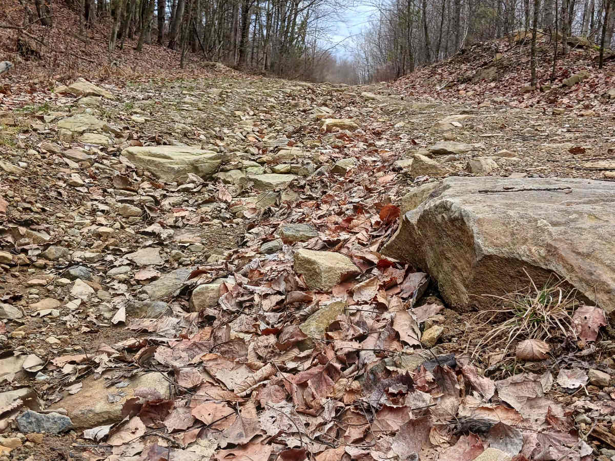 Rocky Run - Rock Run Recreation Area photo 3