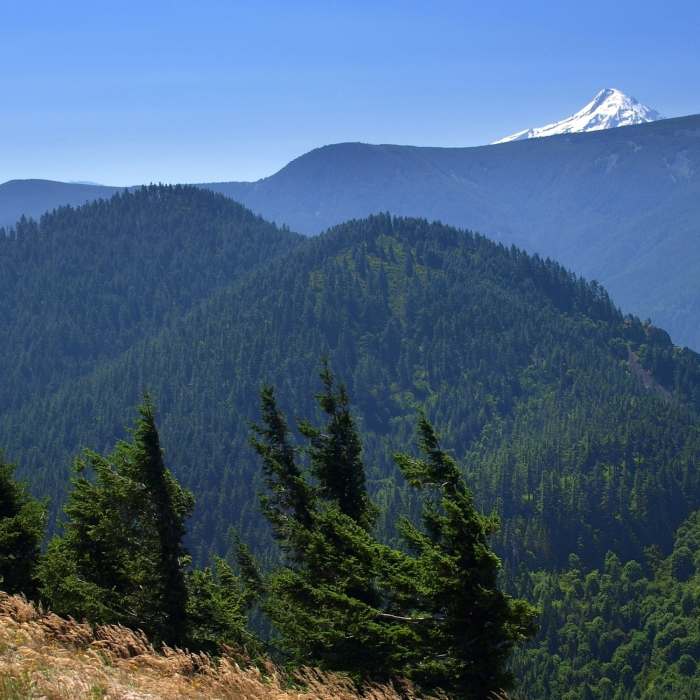 Near Augspurger Trail #4407