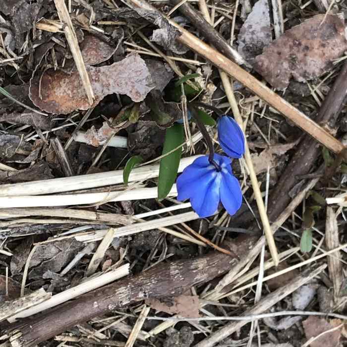 Near Coolidge Reservation Trail