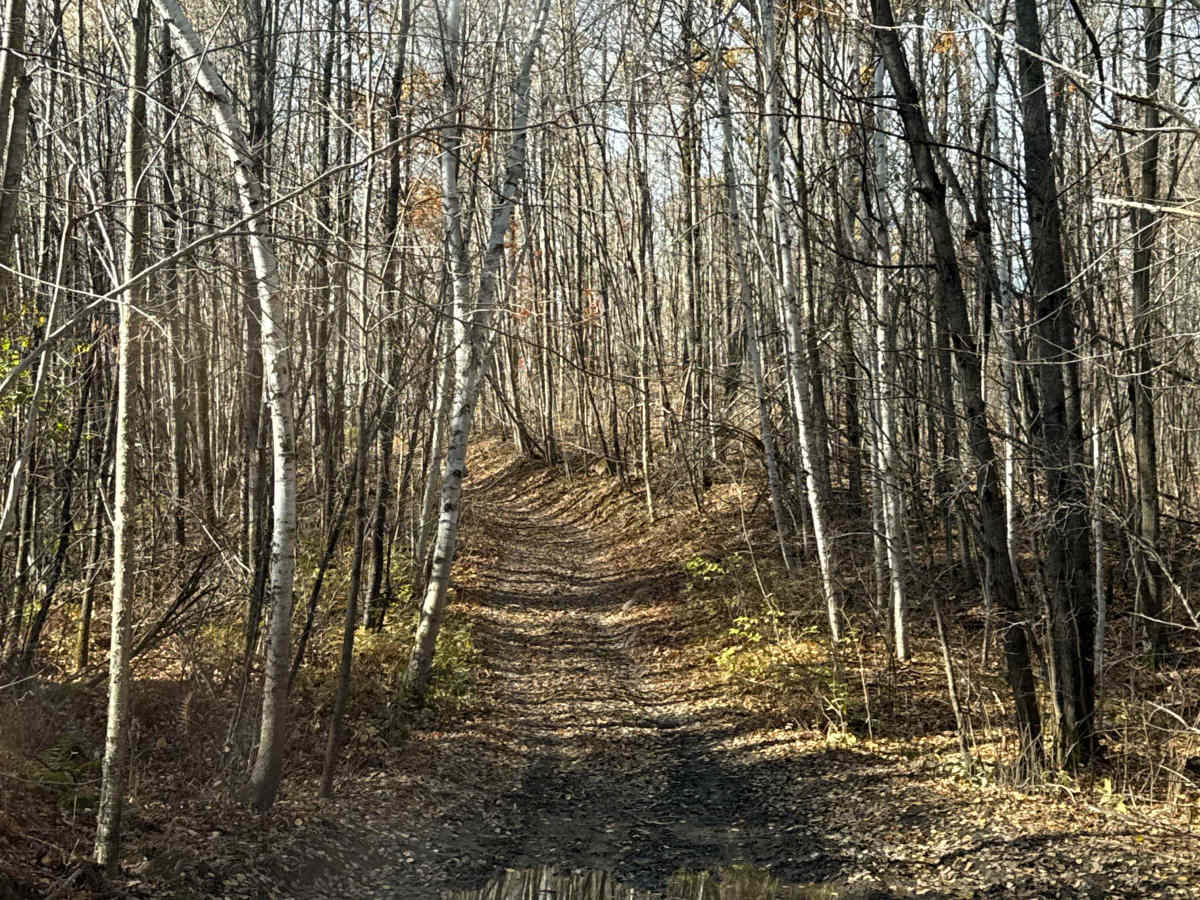 Norway Lake Loop trail photo