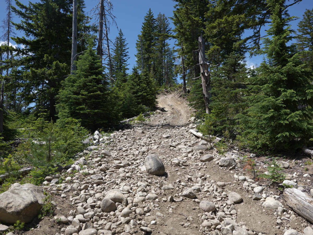 Raven's Roost photo 2