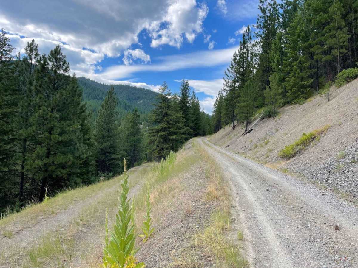 Williams Pass photo 5