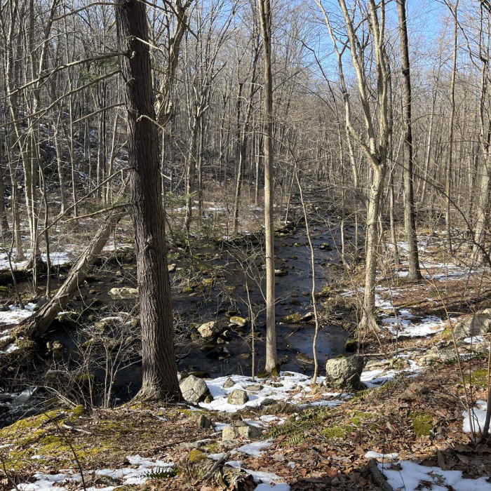 Near Righter Mine Loop Near Righter Mine Loop