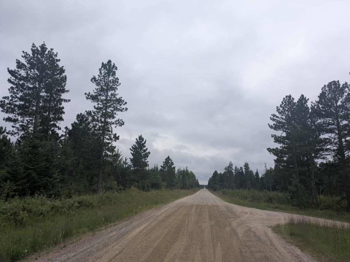 Thompson Forest Road  photo 6