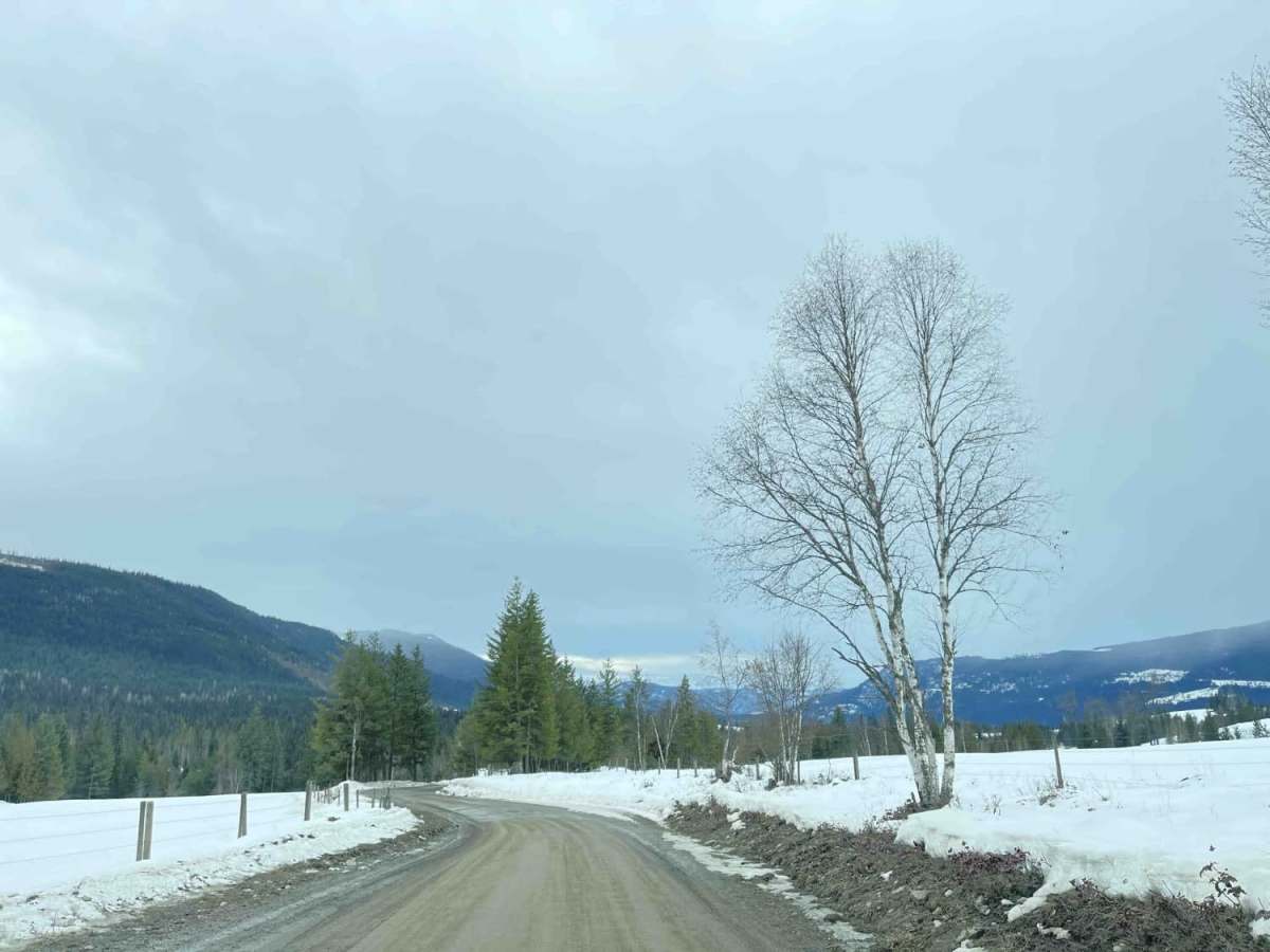 Silver Hills Road trail photo