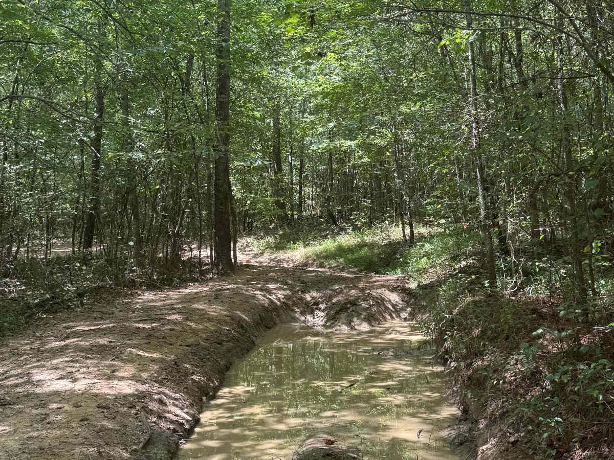 403 Mud photo 3