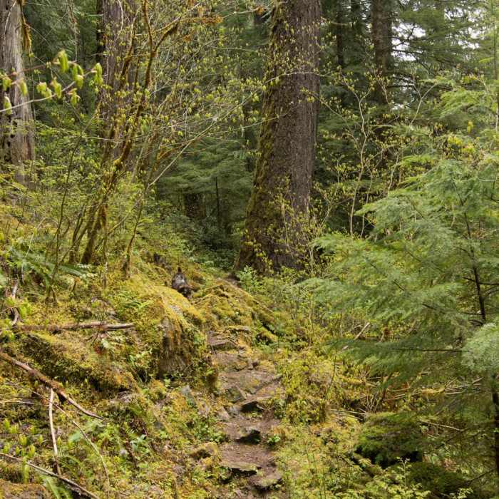 Near Lower + Upper Parker Falls