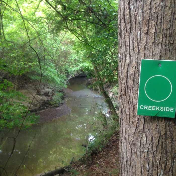 Near SFA Recreational Trails & Gardens