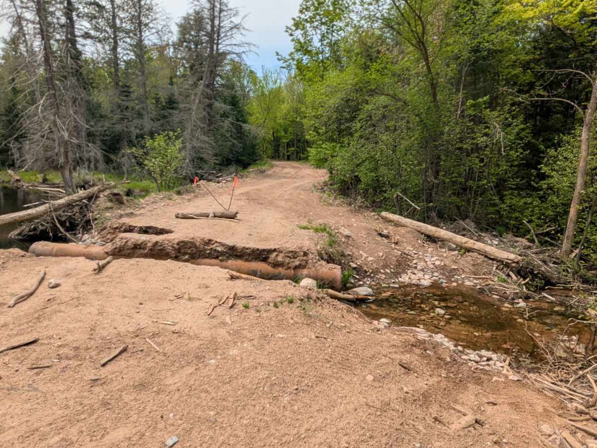 Northwestern Trail photo 4