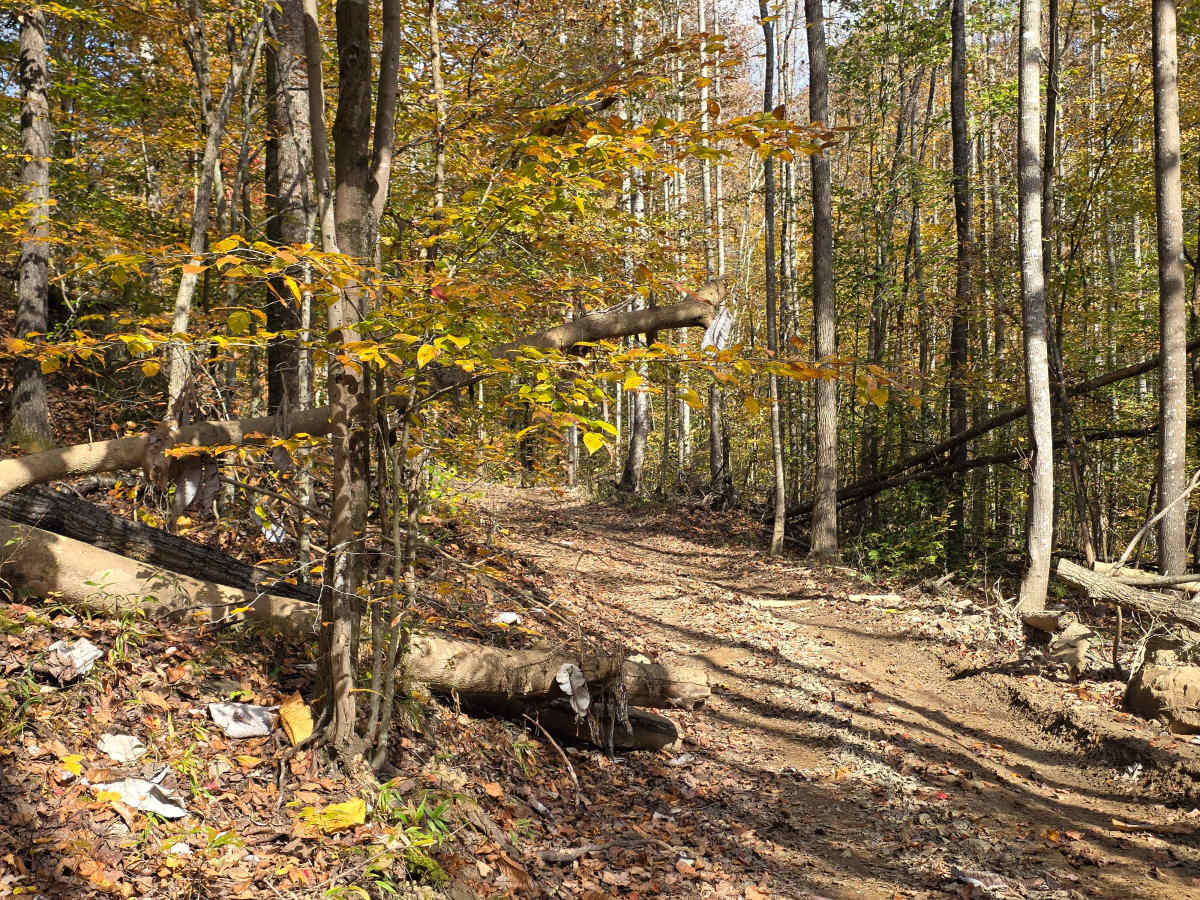 Round the Mountain photo 3
