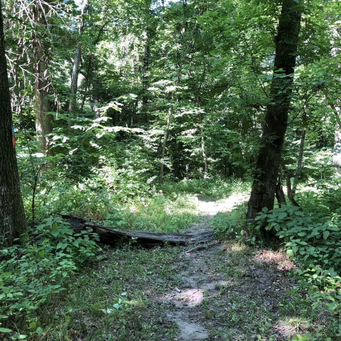 Near Outer Loop (Blue)