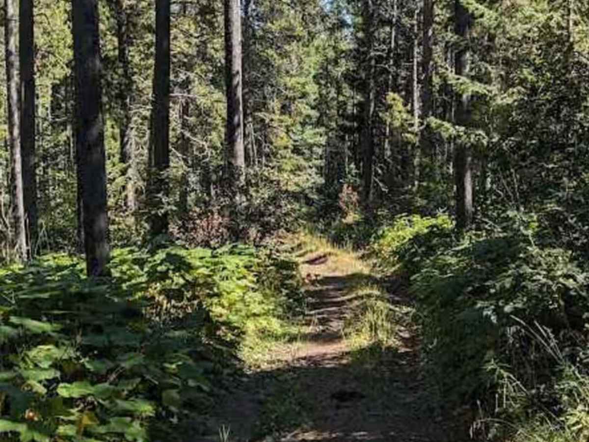 Porcupine Hills Trail 44  photo 2