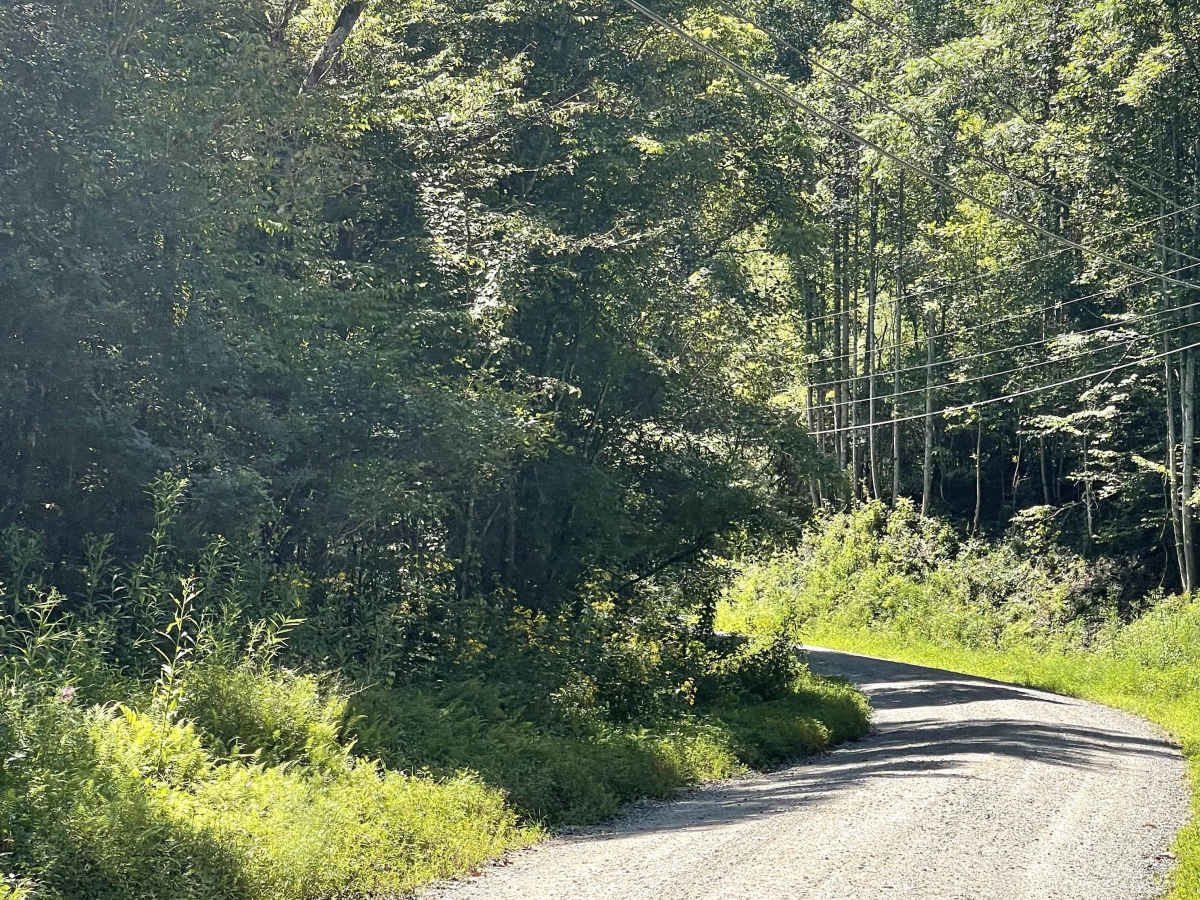 State Route 90 photo 2