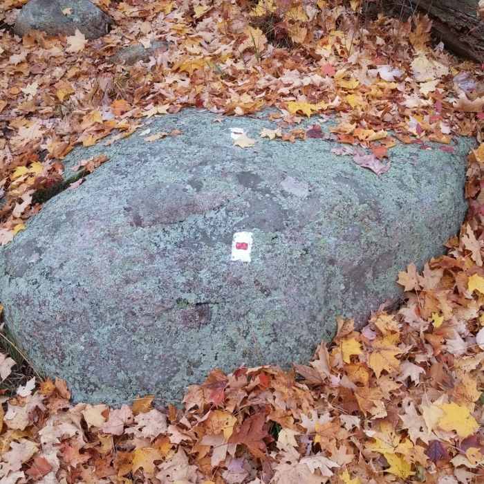 Near Ramapo Dunderberg/Triangle Loop