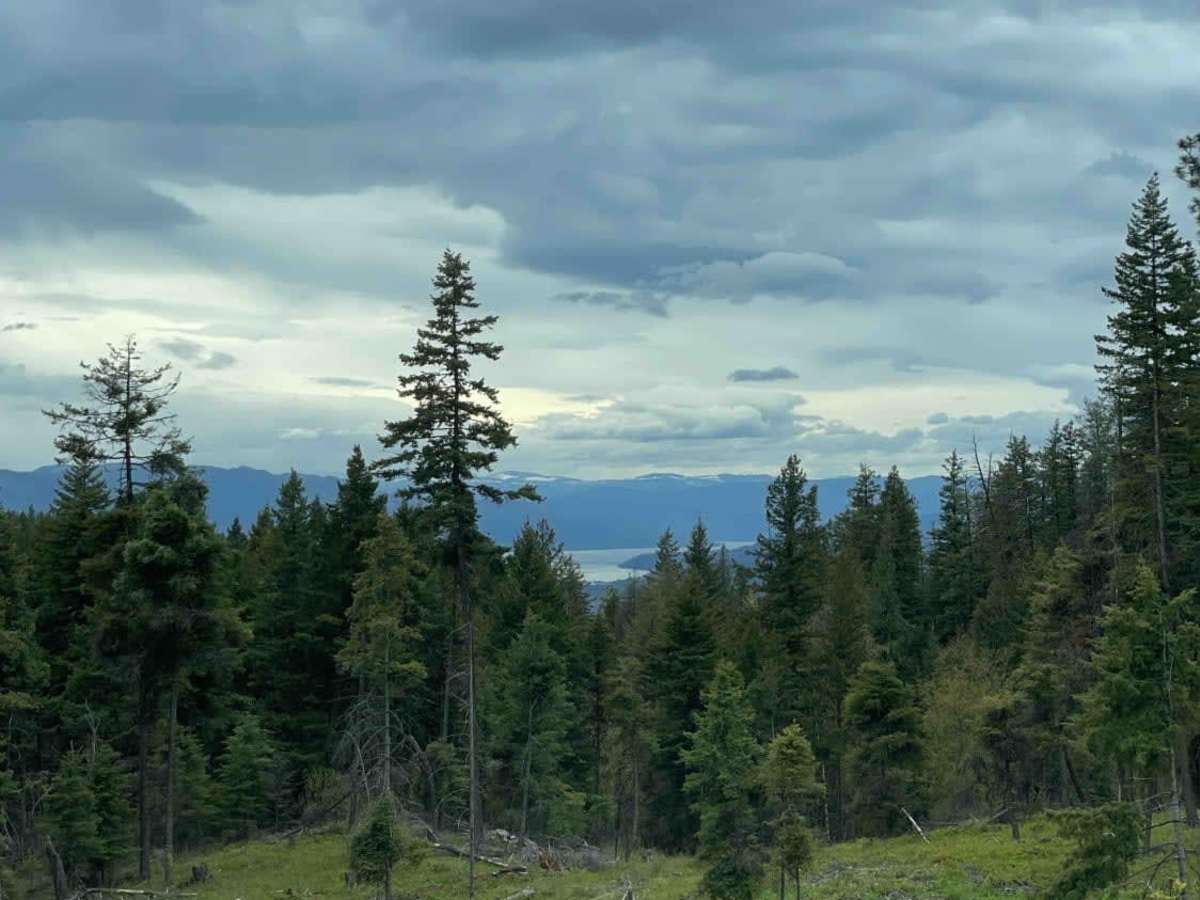 Moore Lake Rec site (from Posthill) photo 2
