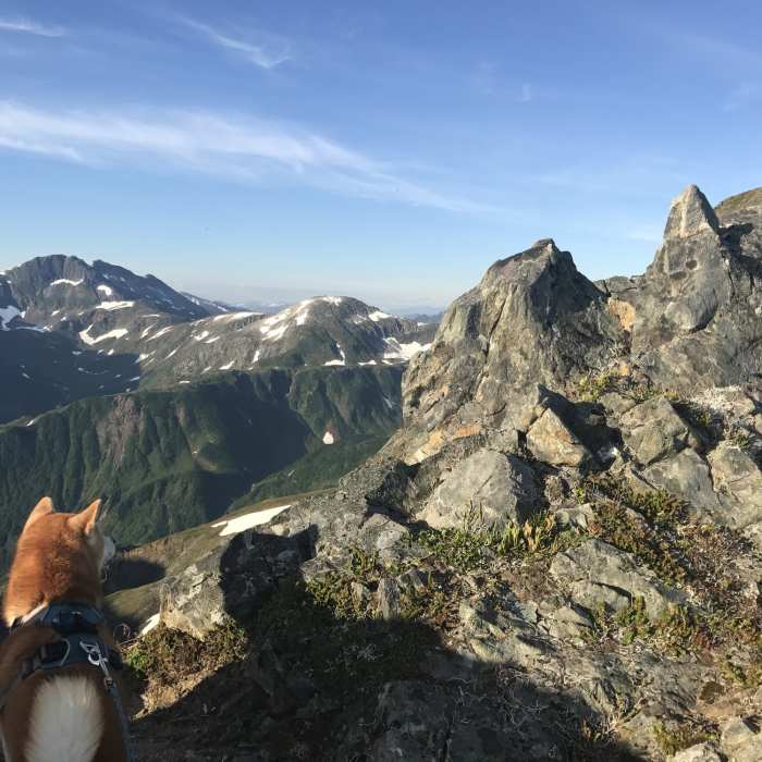 360-degree views when on this ridge. Near Gastineau Peak Out and Back