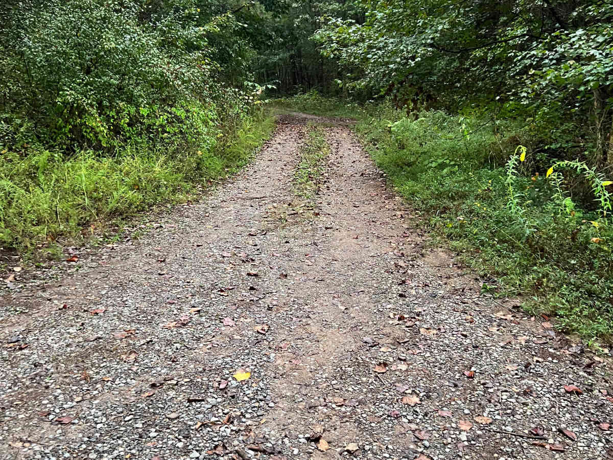 Turkey Creek - FS 212B photo 2