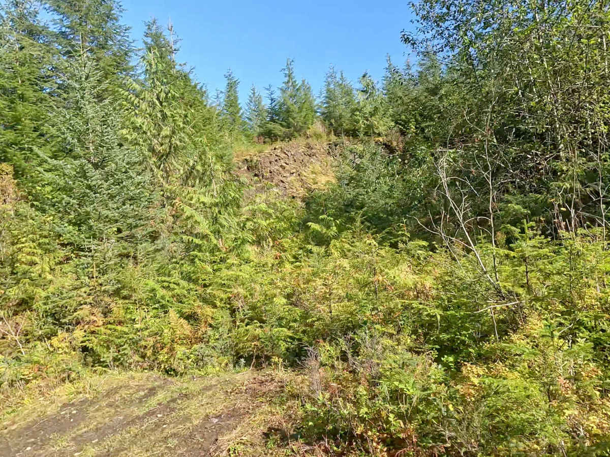 Shelter Cove 8300000  photo 6