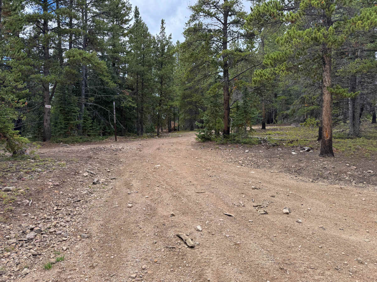 Forest Queen Road photo 5