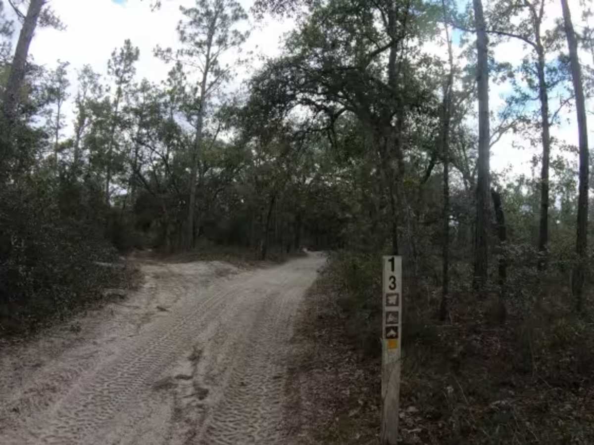 Cross Over Trail  - FS 13 trail photo