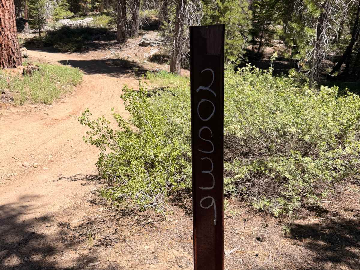 FS 20S39 trail photo
