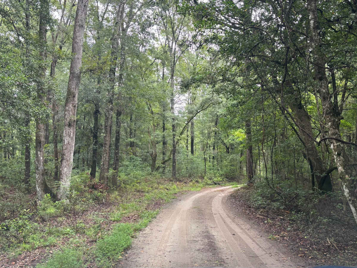 Road 5021 photo 2