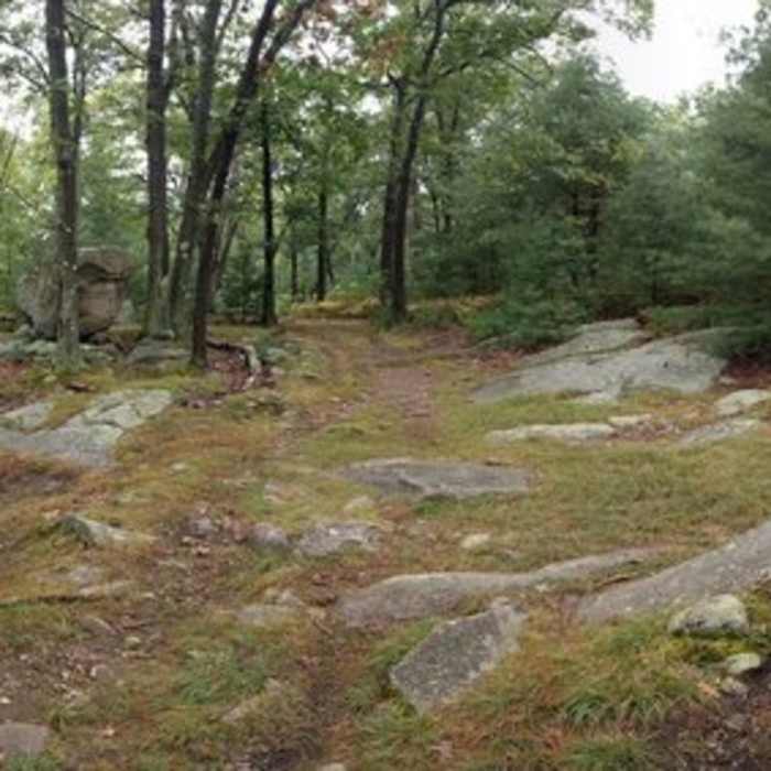 Four Corners is one of the central intersections. Near Deep Woods Trail East