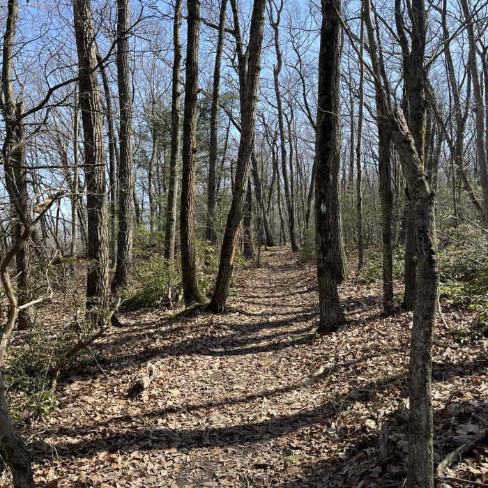Near Apshawa Preserve Loop Near Apshawa Preserve Loop