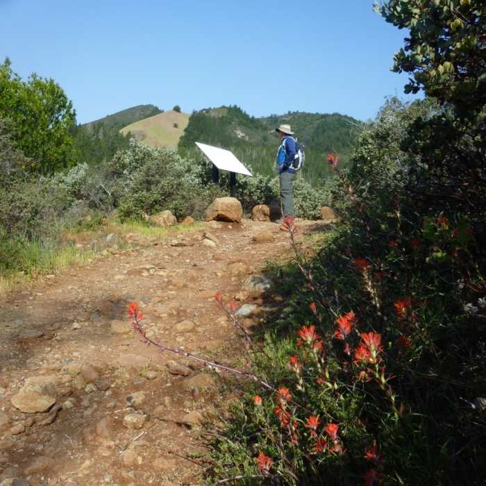 Near Mount Hood via Goodspeed Trail