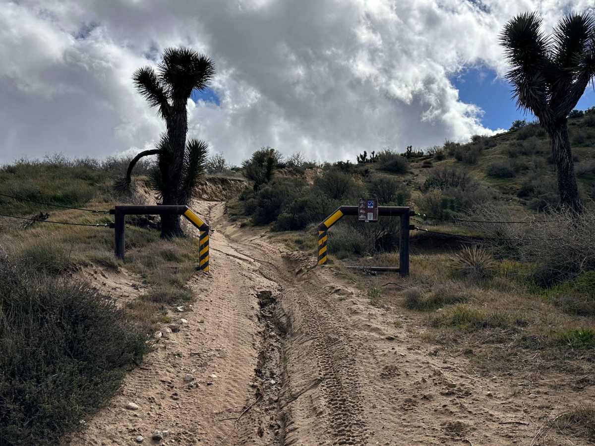 Packers Ridge trail photo