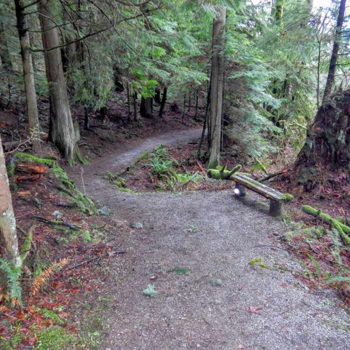 Near Thornhill Trail