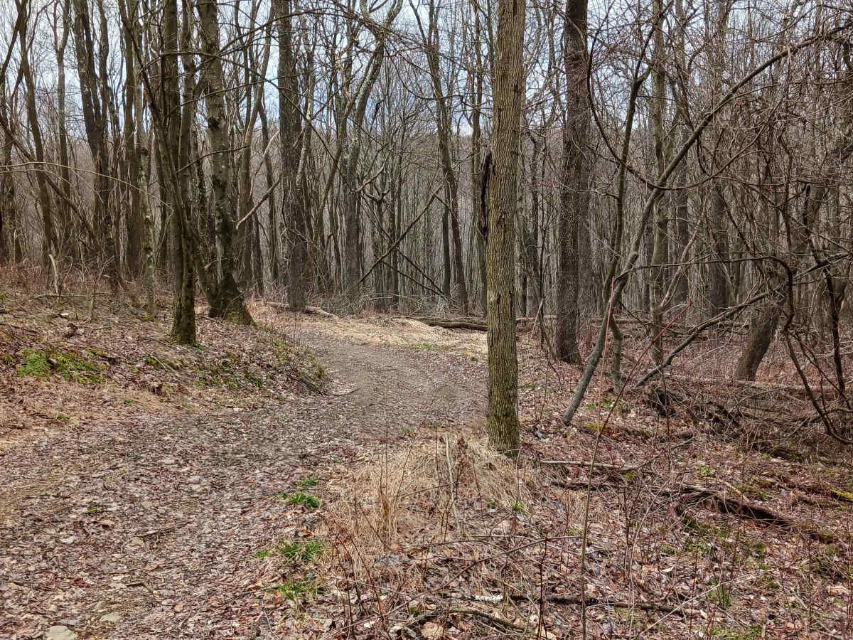 Trail 15A - Rock Run Recreation Area trail photo