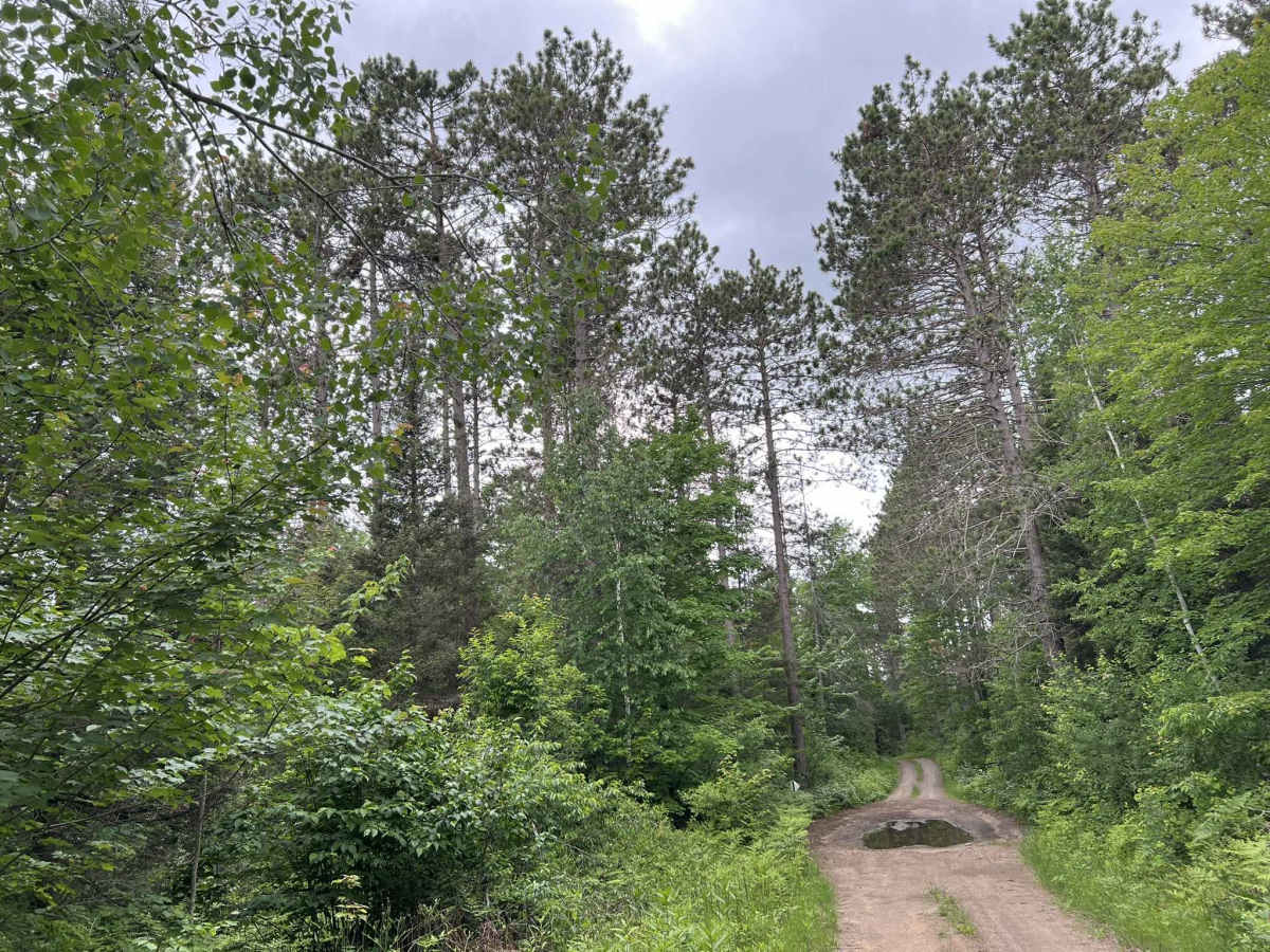 FS 2376 photo 3